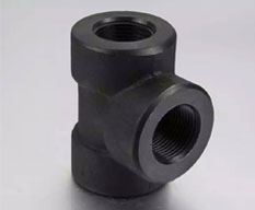 Low Temperature Carbon Steel Forged Fitting